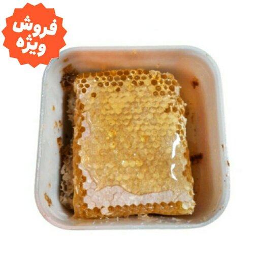 عسل آویشن طبیعی باموم  بالچی (1 کیلوگرم) (خرید از زنبوردار نمونه و ارسال رایگان)