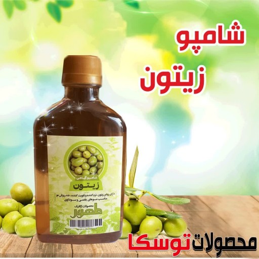 شامپو گیاهی زیتون