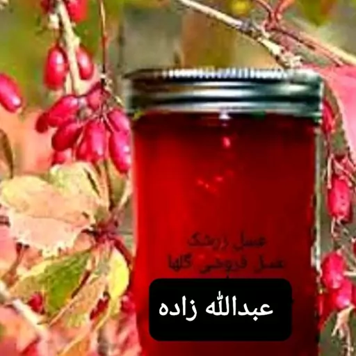 عسل طبیعی زرشک