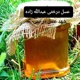 شهدعسل وحشی درختی