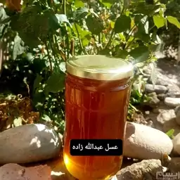 عسل طبیعی مریم گلی