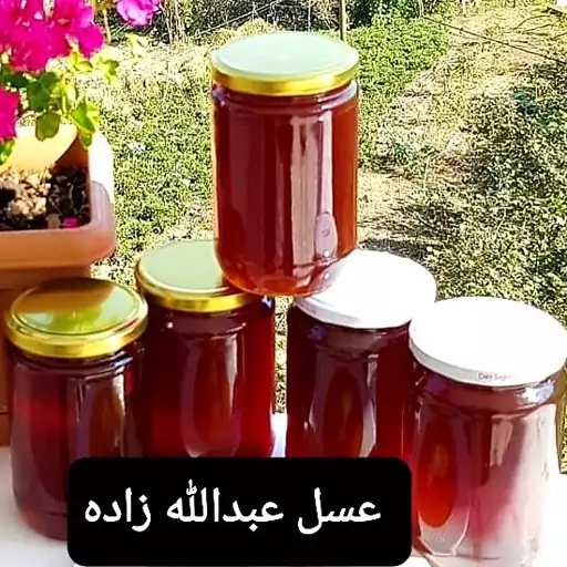 عسل طبیعی خلنگ