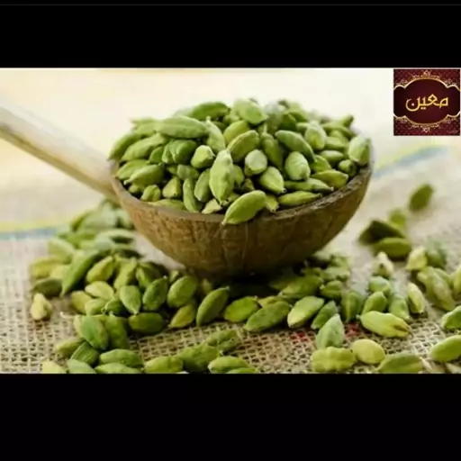 مغز هل درجه یک اعلا ده گرم