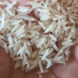 برنج خارجی  پاکستانی شلیل 
