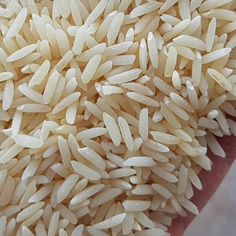 برنج شیرودی باتخفیف ویژه ایام نوروزارسال رایگان بابرندطراوت صابریان دربسته 10ک