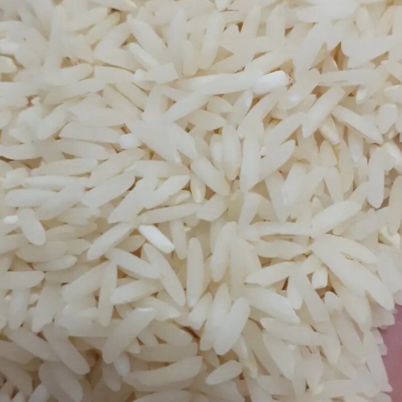 برنج طارم هاشمی امساله دربسته های 10کیلویی ازبرندطراوت صابریان جویبار