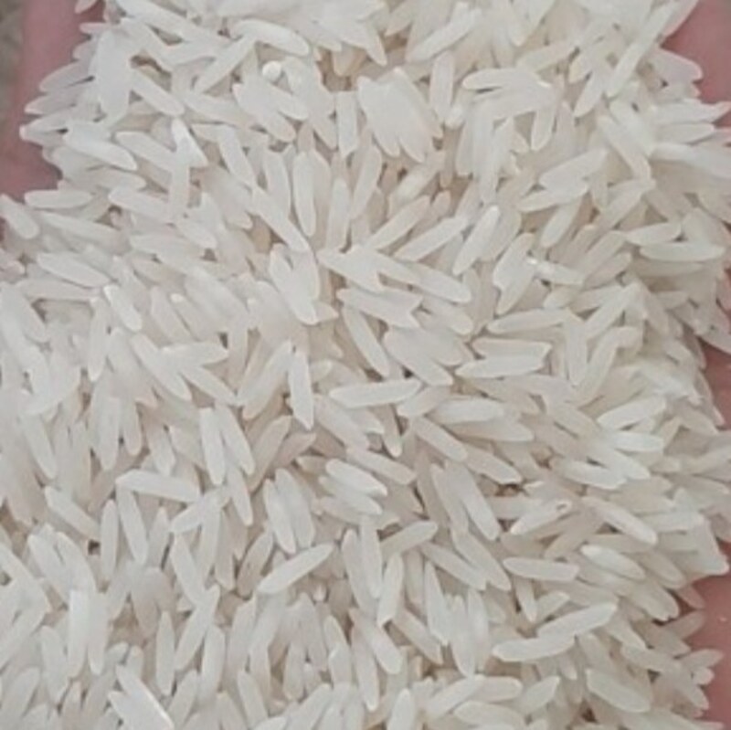 برنج بینام (امرالهی) کشت دوم 