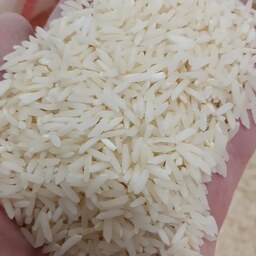 برنج طارم هاشمی درجه یک ازبرندخوب ومطمئن ازشالیزارهای شمال کشورلاریم جویبار