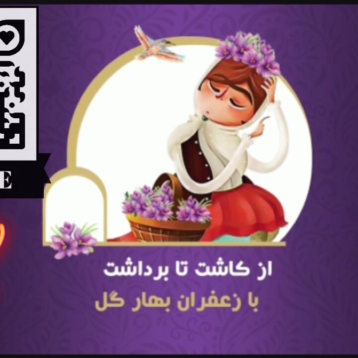 زعفران (صادراتی بهارگل) 6 گرمی  قائنات گناباد.مستقیم از کشاورز