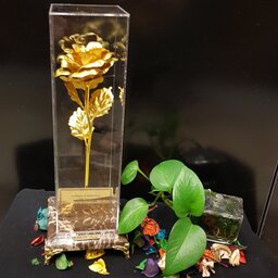گل رز  طلایی،هدیه،کادو،ولنتاین مدل پایه فرشته،رنگ شکلاتی،طرح سنگزمان تحویل بسته بدست مشتری نهایت 4روز کاری خواهدبود 