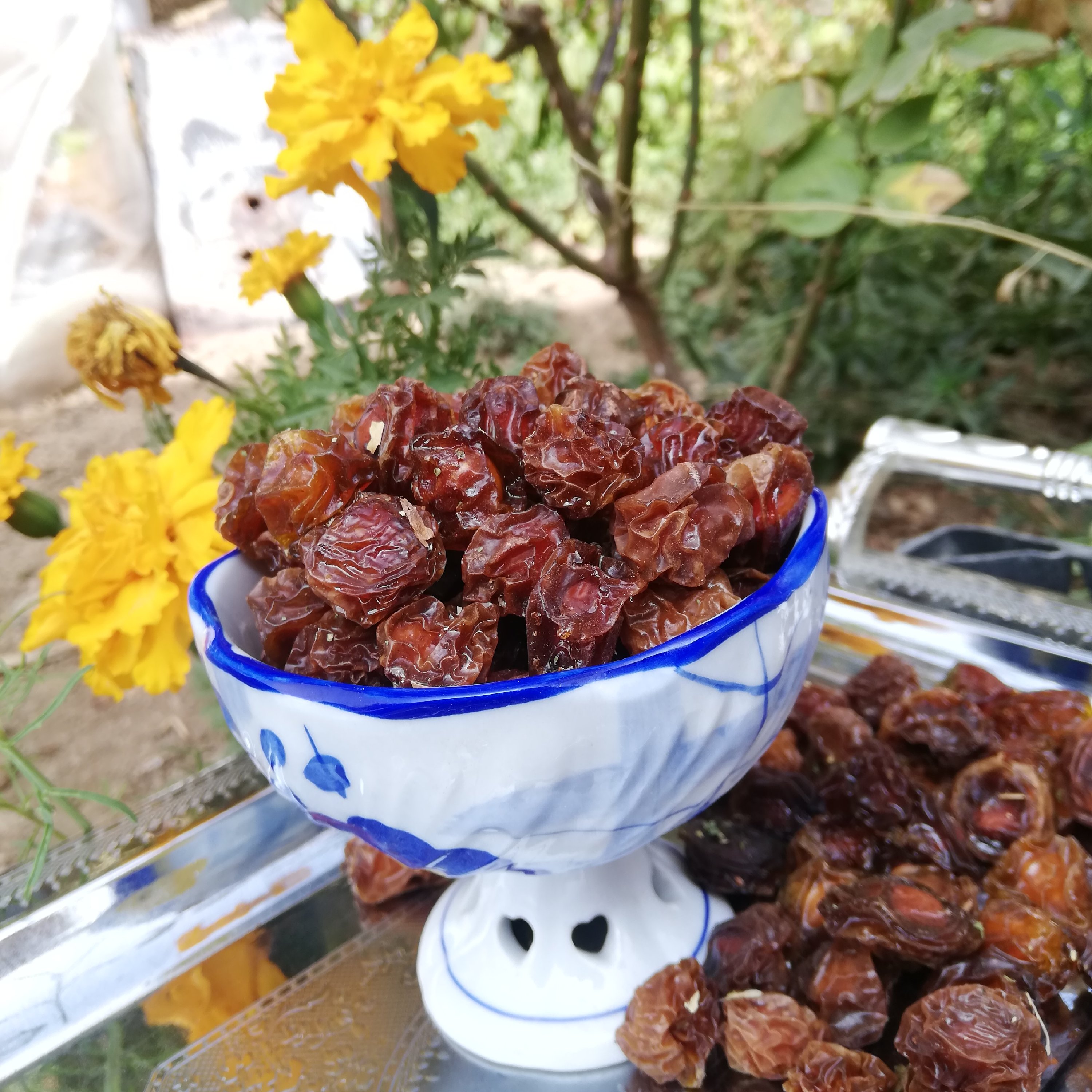 آلوچه خورشتی اعلا (2 کیلویی)(ارسال رایگان)