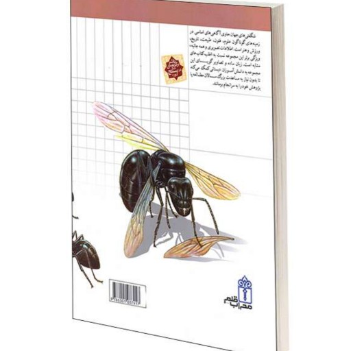 کتاب شگفتی های جهان مورچه ها نشر محراب قلم