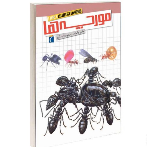 کتاب شگفتی های جهان مورچه ها نشر محراب قلم