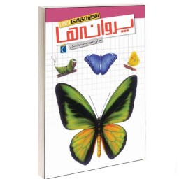 کتاب شگفتی های جهان پروانه ها نشر محراب قلم