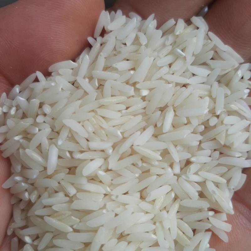 برنج طارم هاشمی20Kg الک نشده 100٪خالص