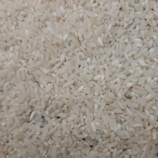 سرلاشه طارم هاشمی(50kg) 100٪خالص