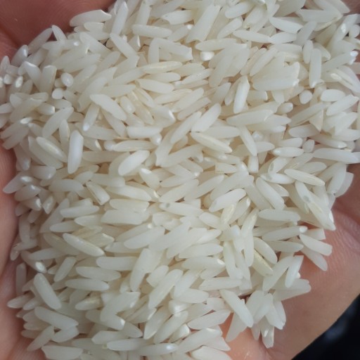 برنج طارم هاشمی50kg الک نشده 100٪خالص