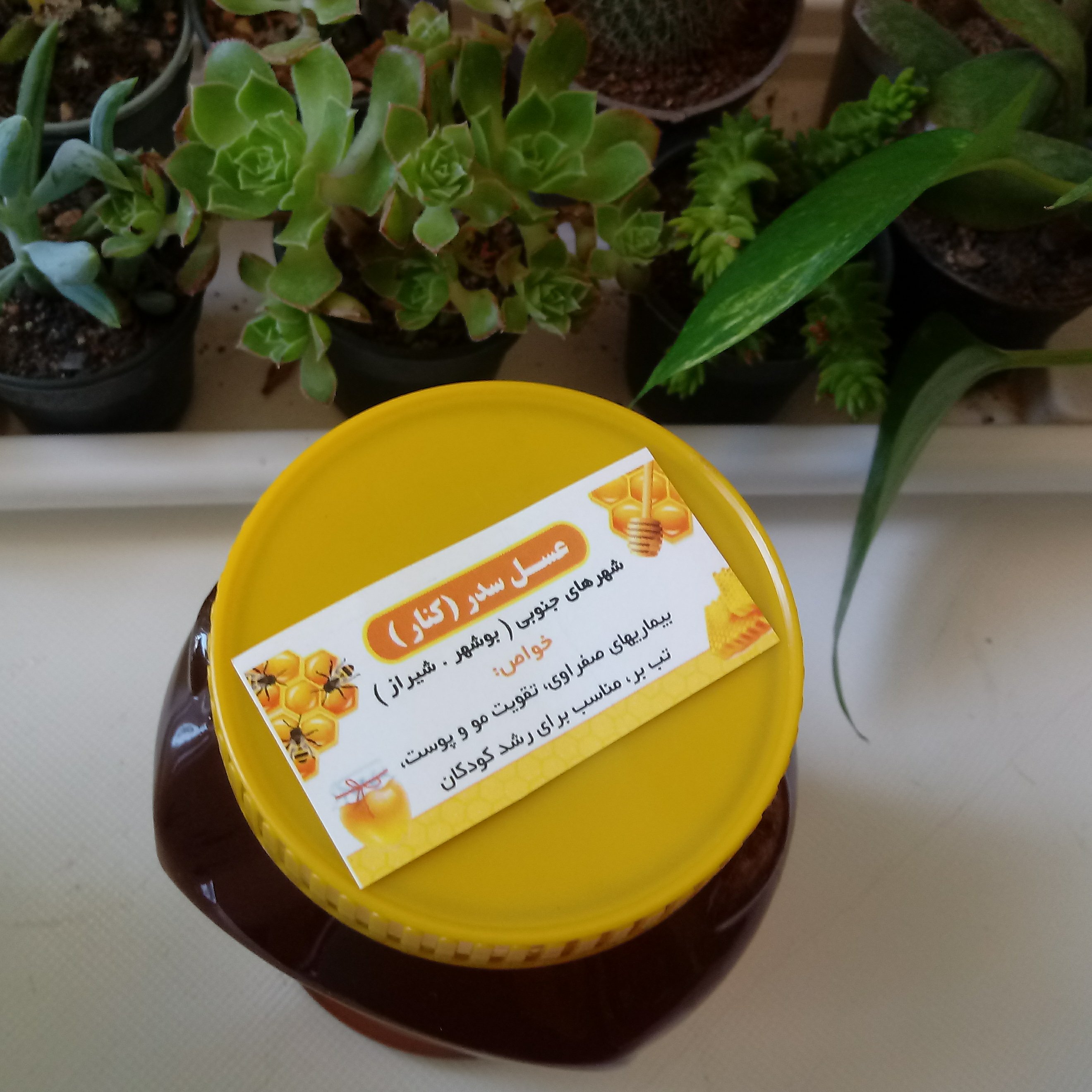 عسل سدر ( کنار  460گرم خالص )(طبع خنک )