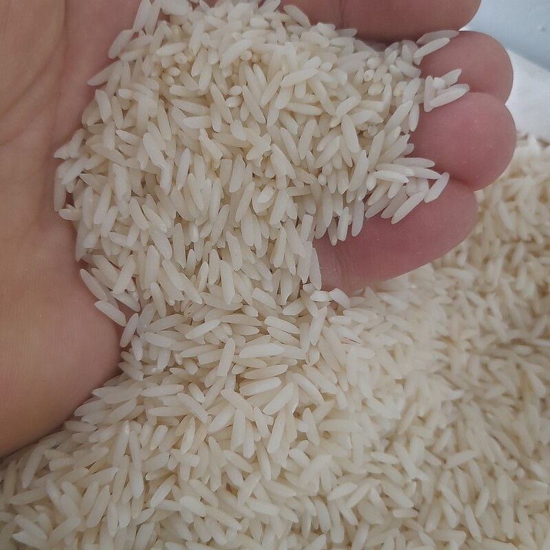 برنج هاشمی الک زده گیلان امساله عطردار با پخت عالی  با بسته بندی 10 کیلویی