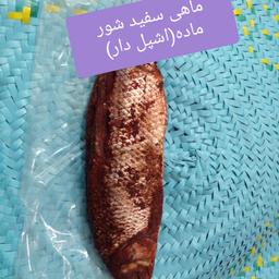 ماهی سفید شور اشپل(خاویار)دار بزرگ  تضمینی و بشرط سلامت وزن ماهی دریا حدودی هستش چون ماهی آزاد به سایز خرید و فروش میشه