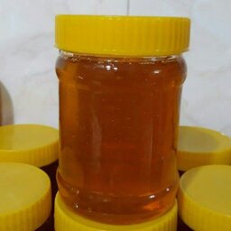 عسل ممتاز چهل گیاه 1 کیلوگرمی