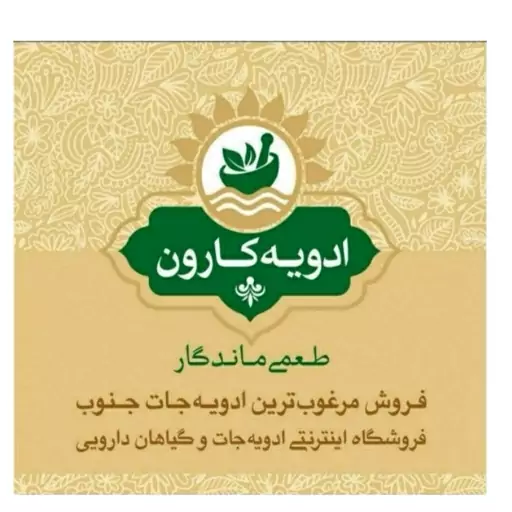 زنجبیل سابیده اعلا (80گرم) کارون