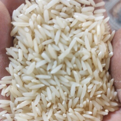 برنج دودی هیزمی هاشمی درجه یک امساله (20کیلویی)الک شده و بدون خورده ارسال رایگان