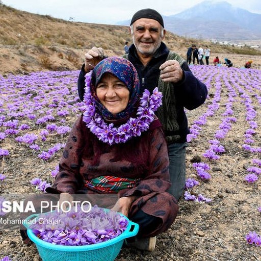 زعفرون سوپر نگین صادراتی