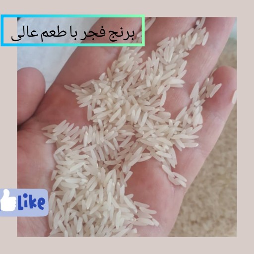 برنج  فجر گرگان  ارسال  رایگان 