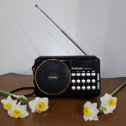اسپیکر  پخش رادیو YUEGAN    FM  مدل 601AR-YG                      