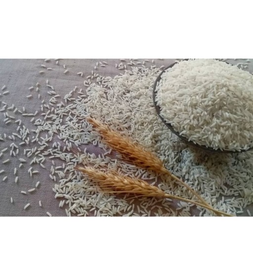 برنج هاشمی ممتاز درجه یک 10کیلویی  تضمین کیفیت ارسال رایگان (برداشت 1400)