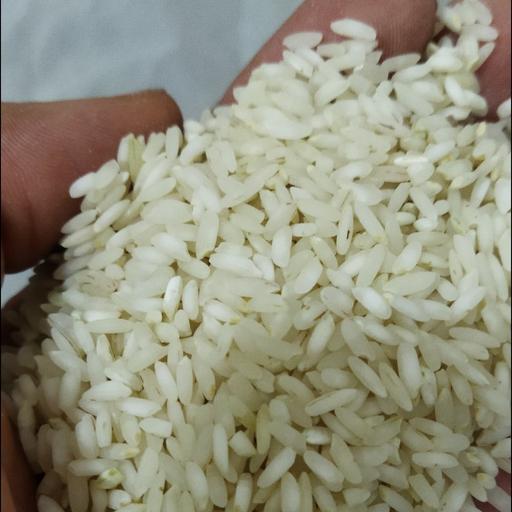 برنج چمپای محلی اعلا میداوود 5 کیلوگرمی امساله (برداشت1402)
