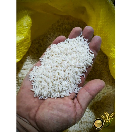 برنج هاشمی تازه درجه یک گیلان در بسته های 5 کیلویی