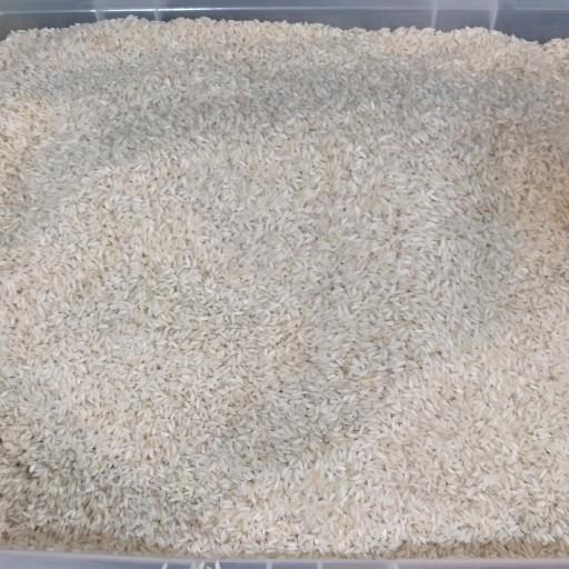 برنج عنبربو(هزینه ارسال با مشتری)