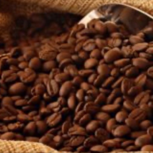 قهوه فرانسه 70٪ روبوستا 30٪ عربیکا
