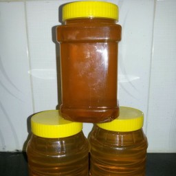 عسل گل پنبه شهد دو کیلویی(عسل فروشی اسمعیلی)