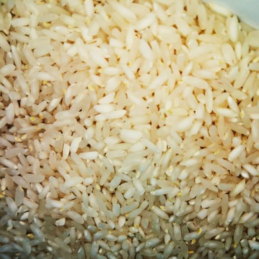 برنج عنبربو معطر نشانی (تولکی)