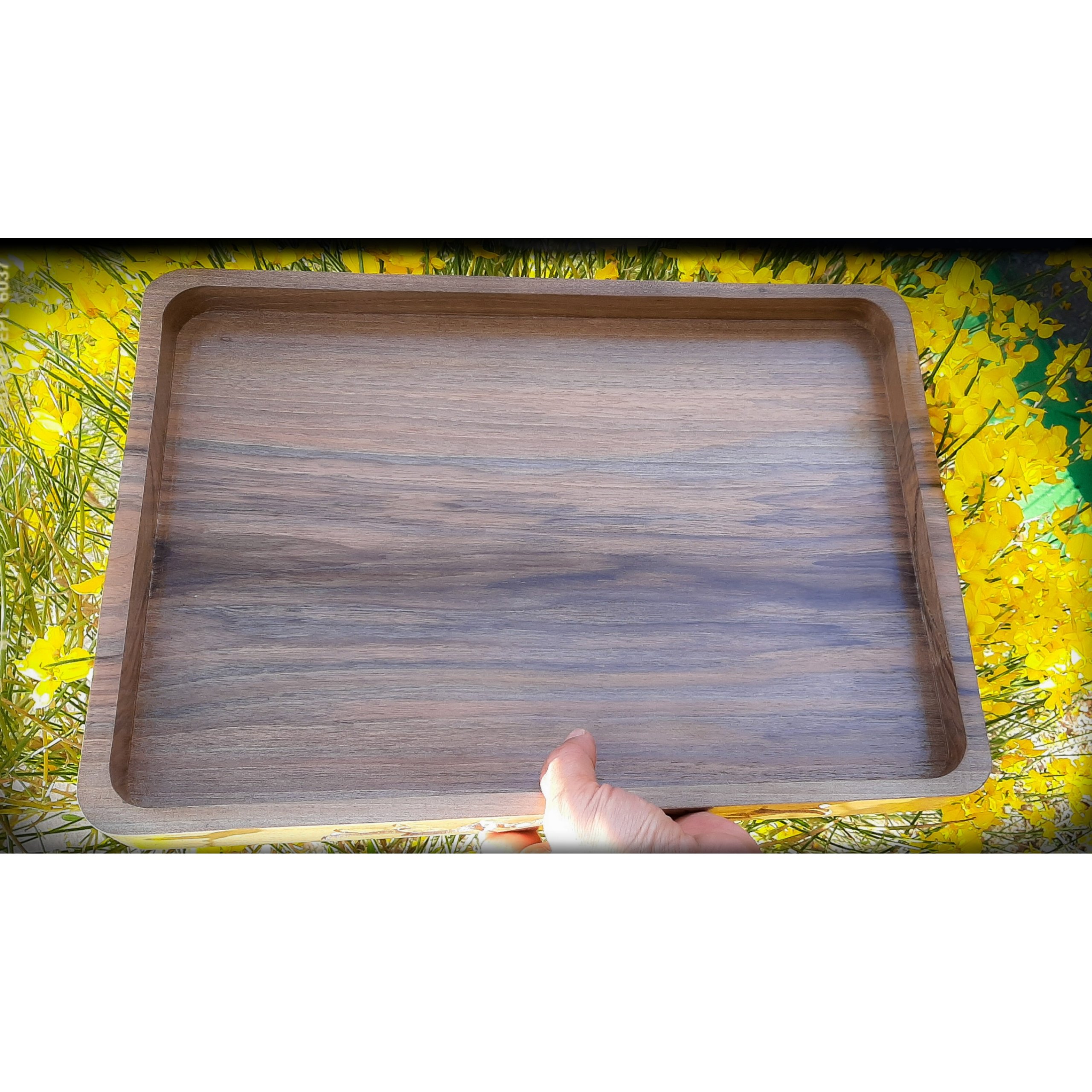 سینی پذیرایی