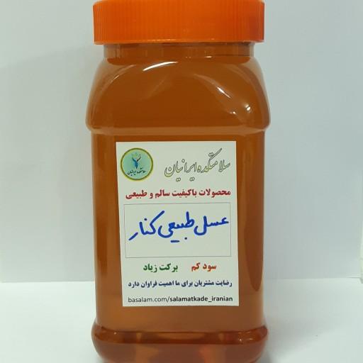 عسل طبیعی کنار سلامتکده ایرانیان