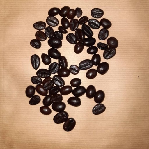 دانه قهوه شفا میکس آمریکای جنوبی رُست تیره (دارک) پاکت 100 گرمی