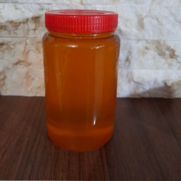 عسل کوهی  (مخلوط خارشتر و اویشن و گلگاوزبون)(1000 گرمی)