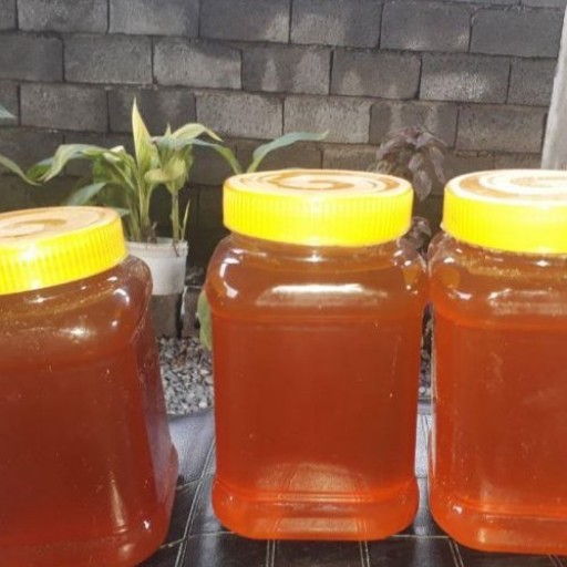 عسل خارشتر 100 درصد طبیعی