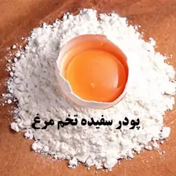 پودر سفیده تخم مرغ بسته 100 گرمی