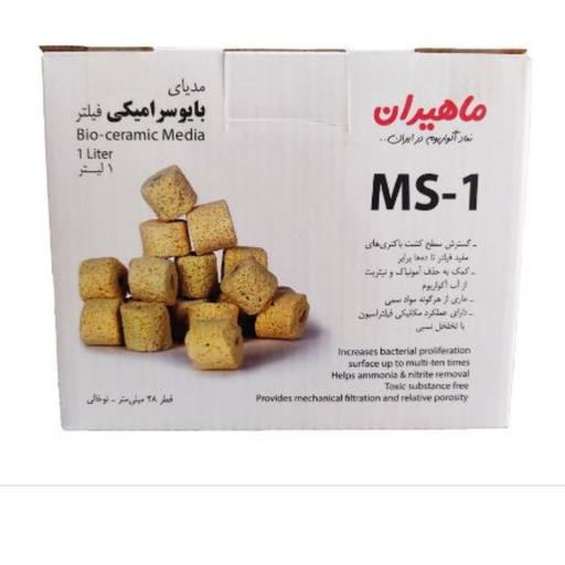 مدیا ماهیرانMS1