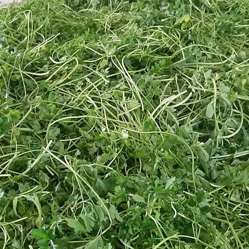 سبزی خورشتی سرخ شده آماده 1 کیلویی