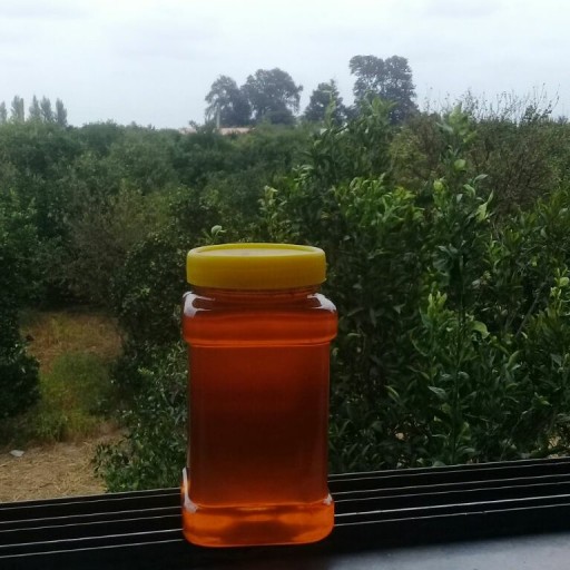 عسل طبیعی گون اویشن سبلان
