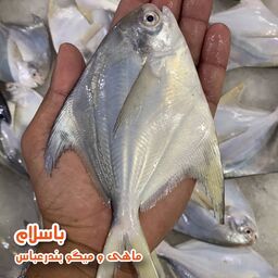 ماهی حلوا سفید یا زبیدی سایز متوسط (200-250 گرمی) تازه و صید روز (1 کیلوگرم)