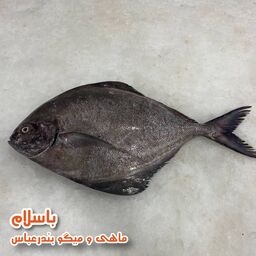  ماهی حلوا سیاه  تازه و صید روز بندرعباس ( 1 کیلو گرم )