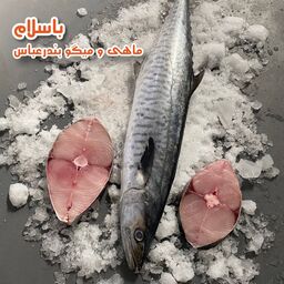 ماهی شیر  صید قلاب سایز بزرگ تازه و صید روز بندرعباس ( 5 کیلو گرم )  