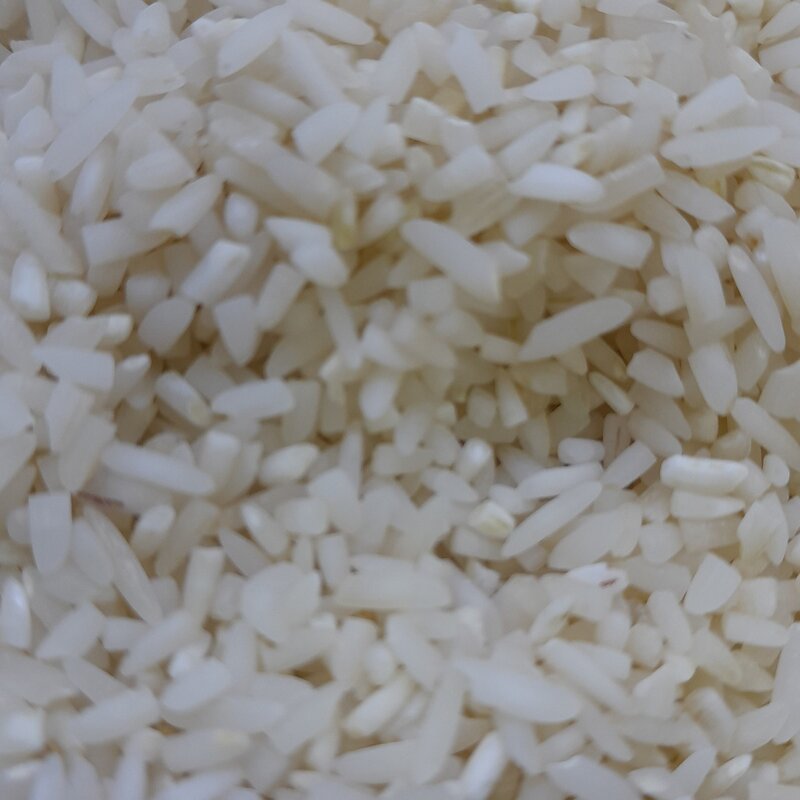 برنج سرلاشه صدری درجه یک. کشت دوم. خوش مزه و خوش پخت